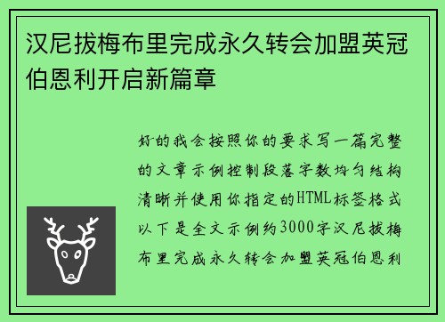汉尼拔梅布里完成永久转会加盟英冠伯恩利开启新篇章